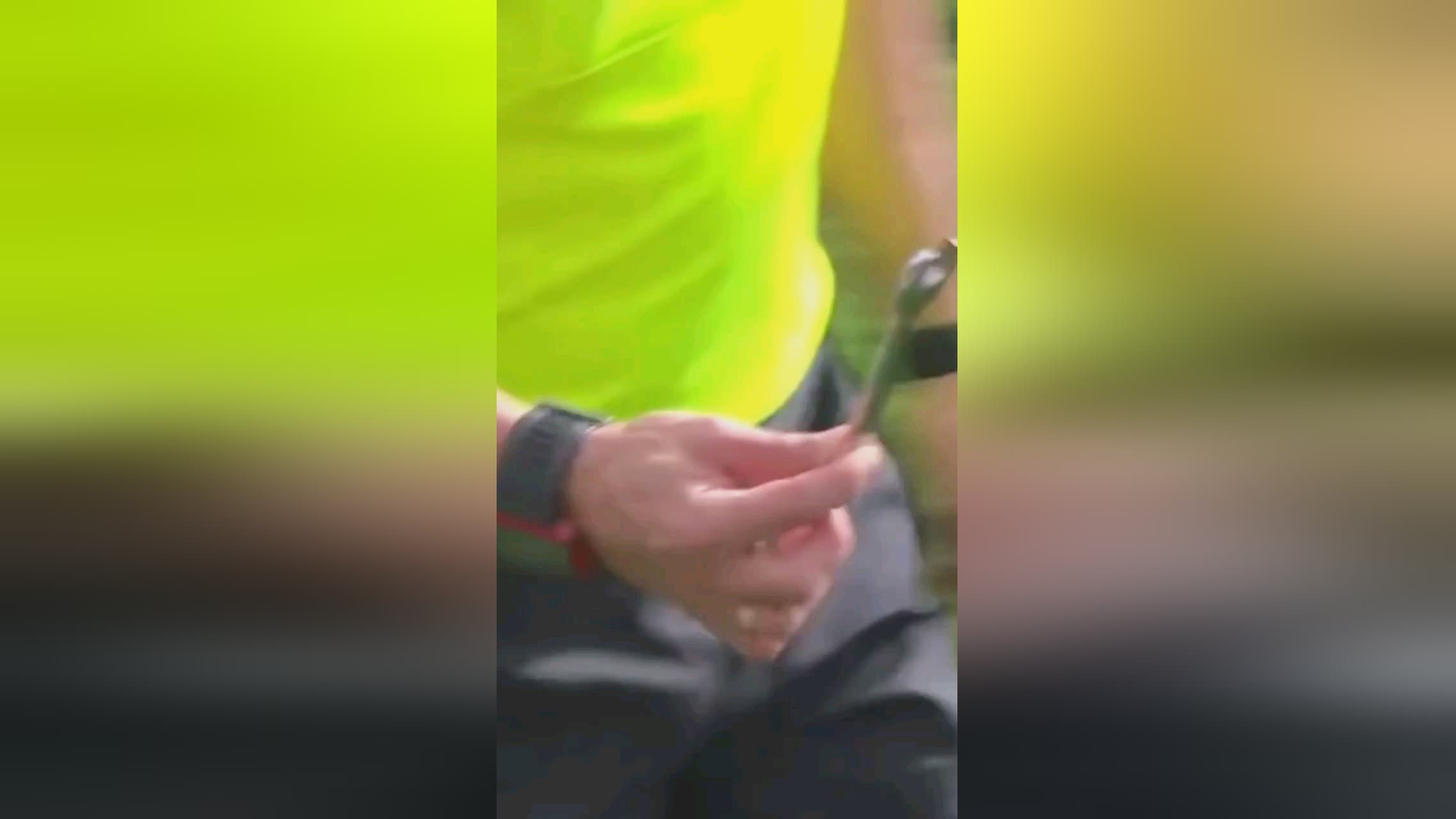 质基米希